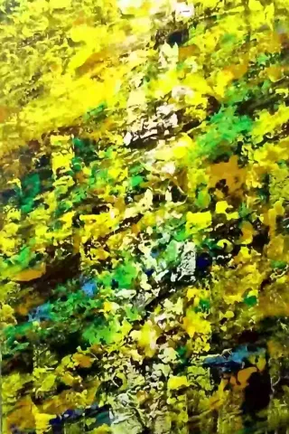2014_raggidiluce