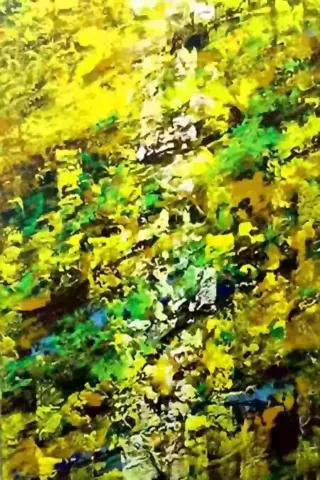 Raggi-di-luce