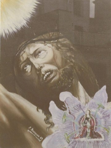 Il_Fiore_della_Passionne