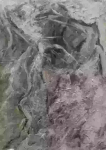 cespugli_nel_mare_-_sulle_ali_del_vento-1